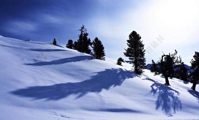 雪 冬天 山 树 寒冬 太阳 影子