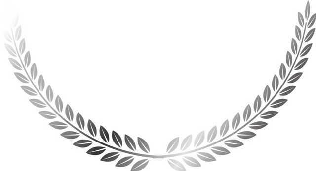 银色麦穗花纹