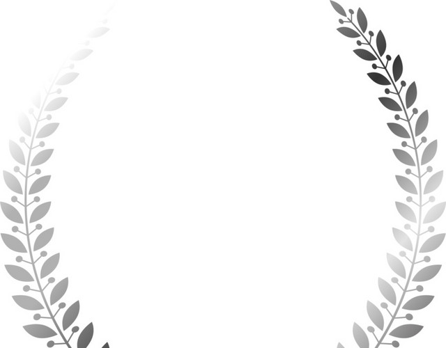 银色麦穗花纹