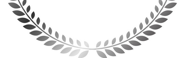 银色麦穗花纹