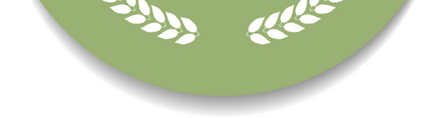 橄榄枝卷边便签矢量图