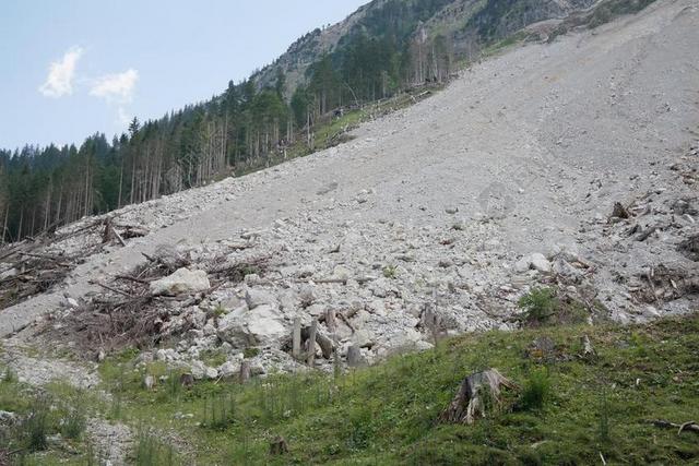卵石 石头 落石 滑坡 VILSALPSEE 山 苍白的脸色