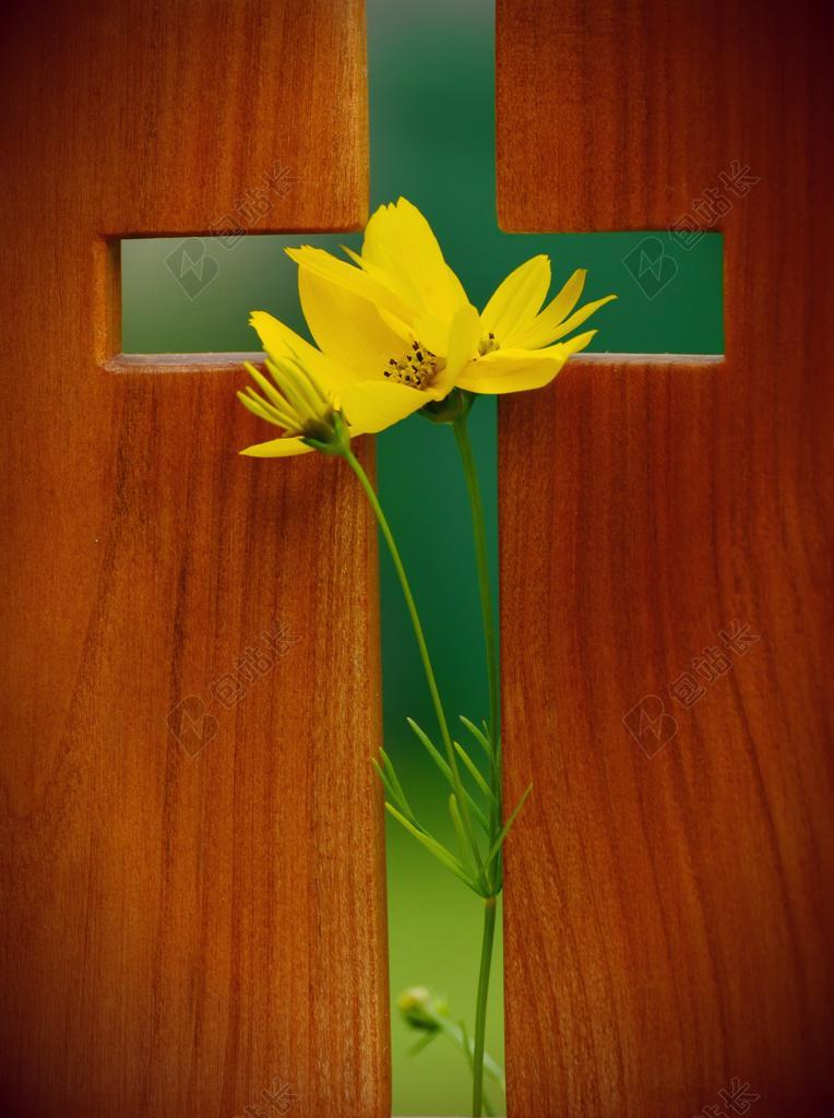 交叉 符号 基督教信仰 信仰 基督教 基督 木制十字架 木