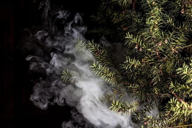 摄影唯美森林里的水雾背景图片
