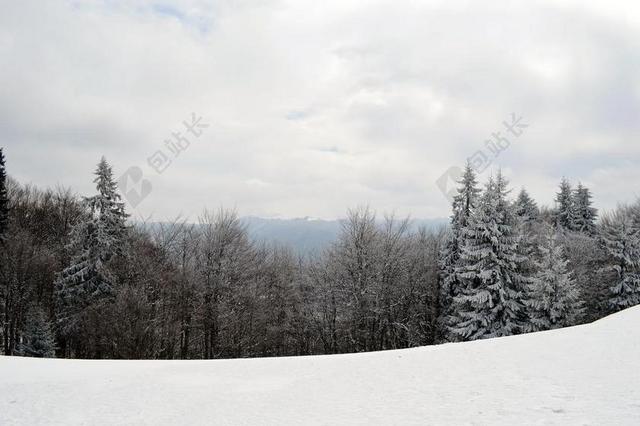 冬天 现场 山 仙境 森林 冷 户外 日落 雪 度假 冰