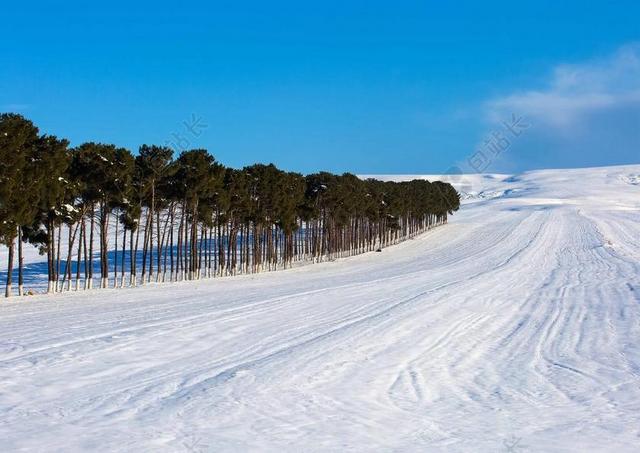 阿塞拜疆 雪 冬季 路 农村 森林 小山 性质 美容