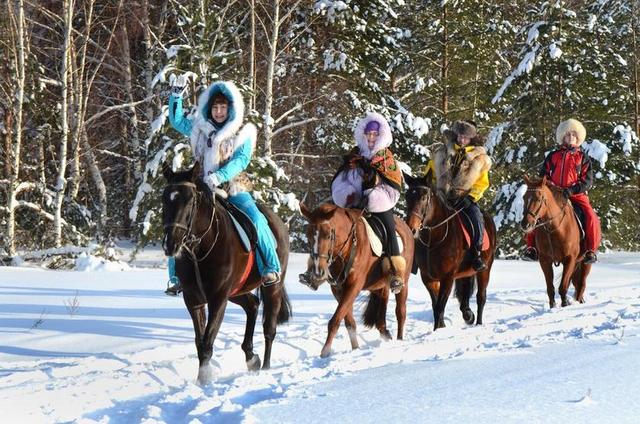 疯狂 雪 俄罗斯 冬天 冷 骑马 妇女 森林 夏时制