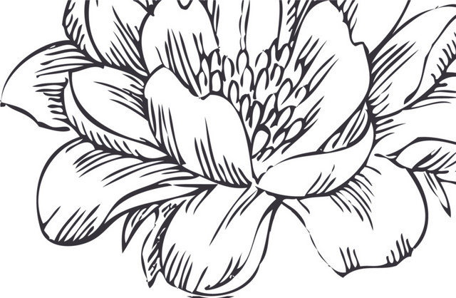 中国风线描稿矢量素材