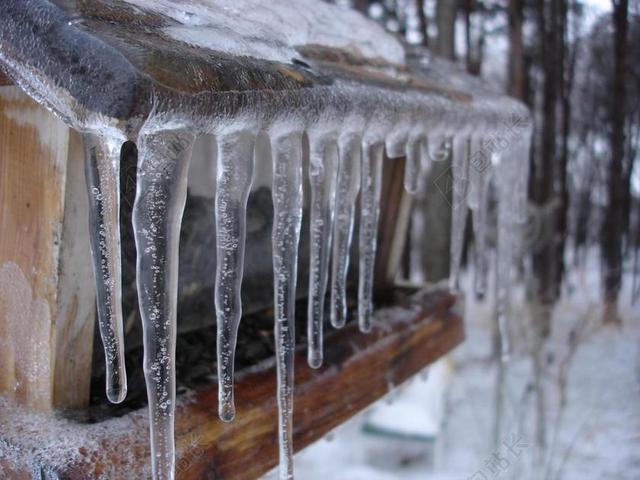 冰柱 冻结 冷 雪 冬天 冰冷 喂鸟器 挂 户外 十二月