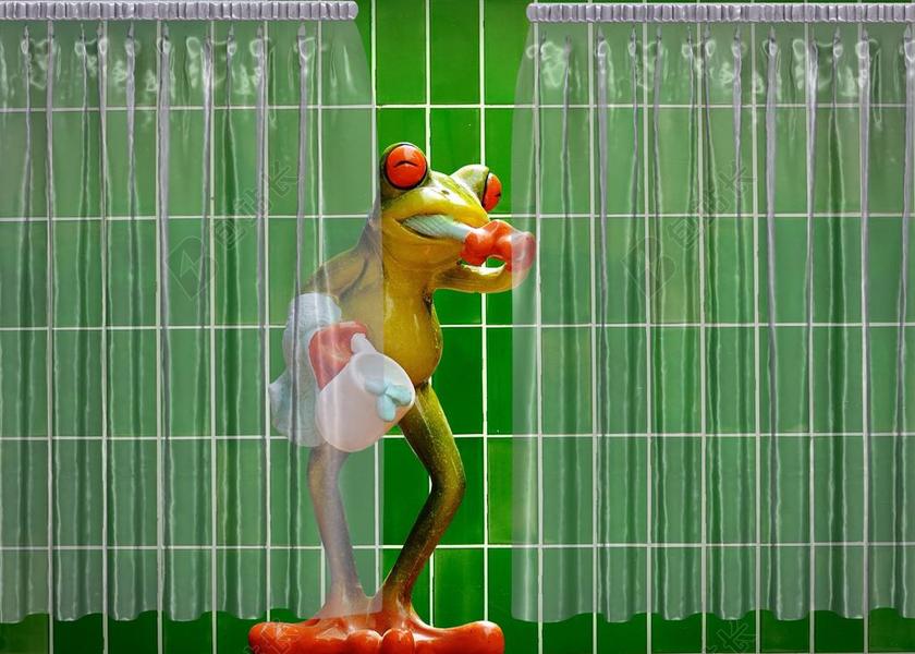 青蛙 浴室 滑稽 可爱 甜 搞笑 乐趣 游泳 刷牙