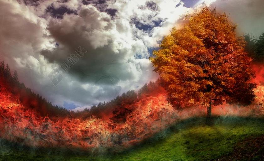 广告简约森林火灾背景图片