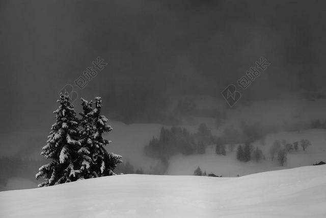 山 瑞士 高山 雪 雾 冬天 冷 现场 转寄 弗罗斯特
