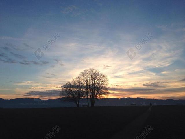 摄影唯美夕阳下的树背景图片