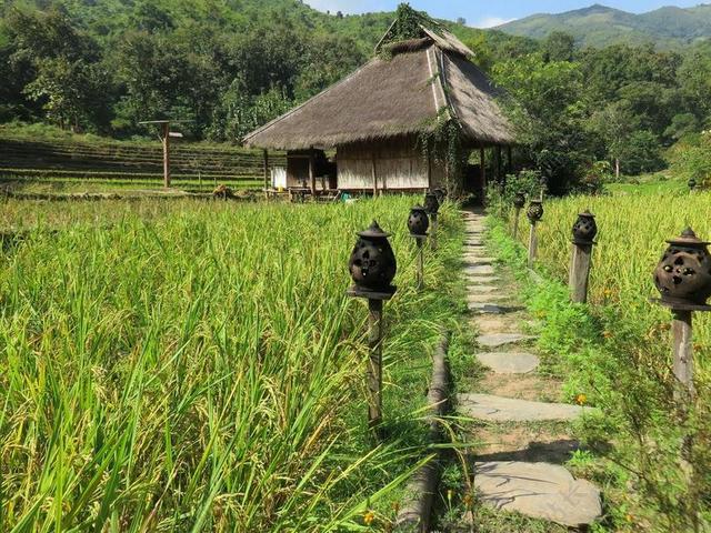 旅游自然卡姆旅馆公园背景图片