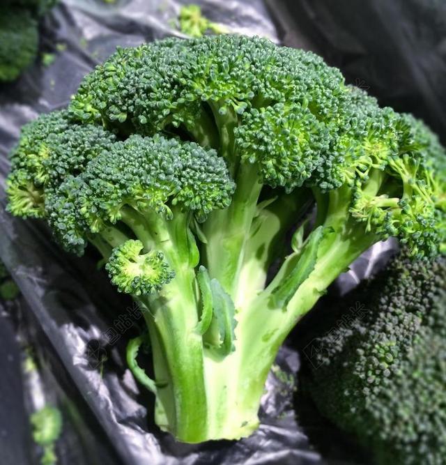 食物绿色的新鲜西兰花背景图片