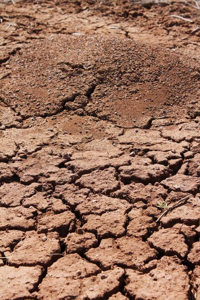 蚂蚁山 破解地球 地面 土壤 干透的土地 裂纹 土地 沙漠