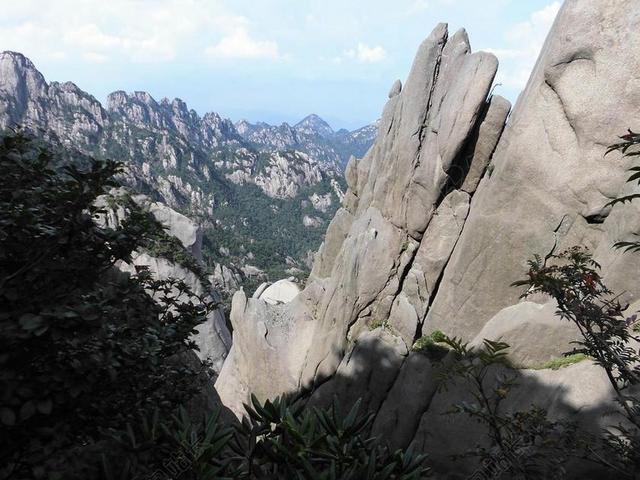 清新黄山山脉背景图片