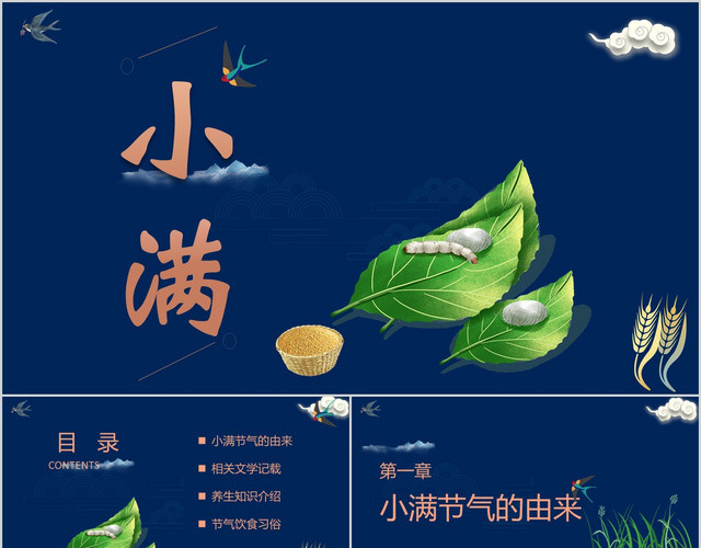 蓝色简约风格二十四节气小满PPT模板