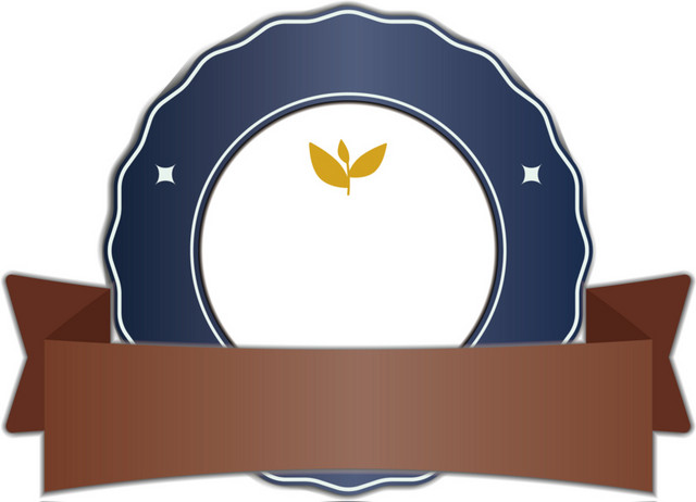 彩带装饰勋章彩带素材