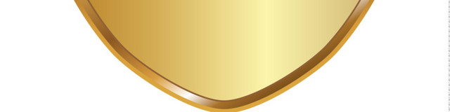 金色盾牌图标