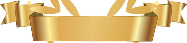 金色徽章图标