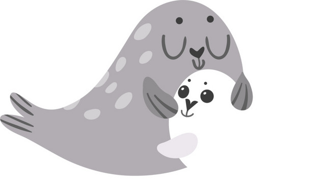 简约灰色海豹母子素材