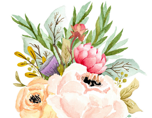精美插画素材