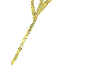 小清新手绘水彩花装饰图案