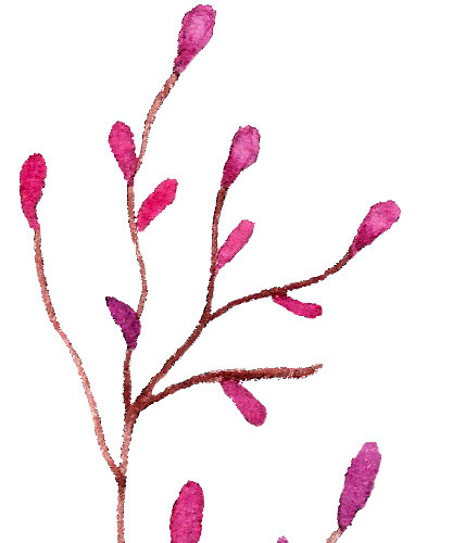 粉色清新小花花枝素材
