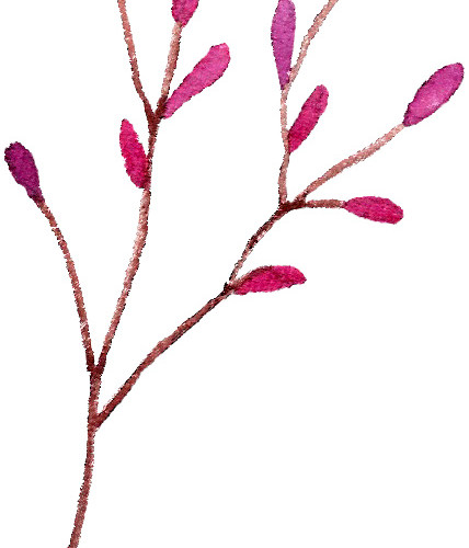 粉色清新小花花枝素材