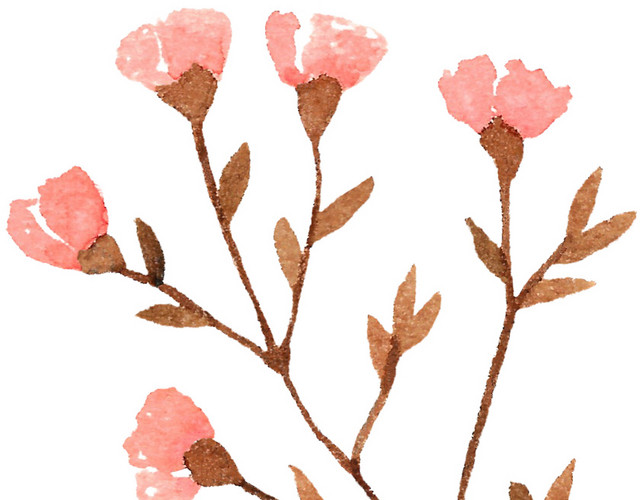 粉色粉红花插画素材