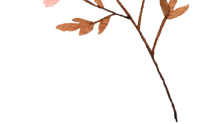 粉色粉红花插画素材