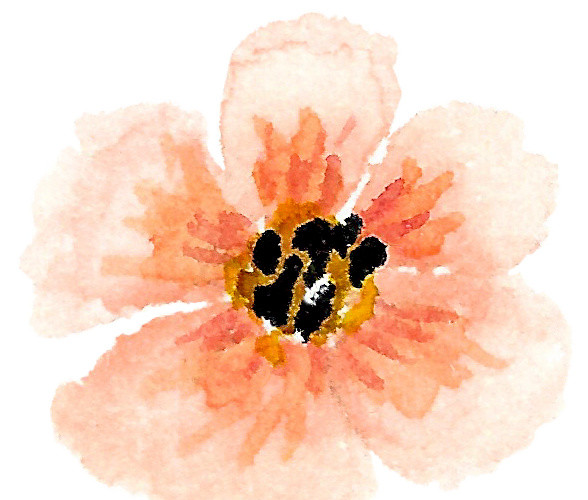 水粉小花素材