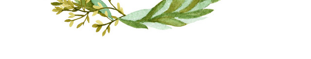 花草清新装饰图框
