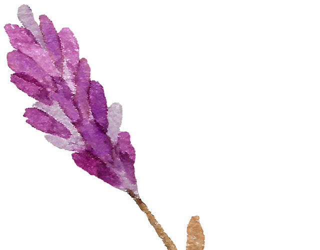 紫色手绘花穗
