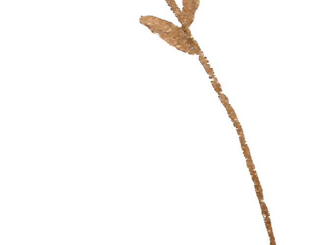 紫色手绘花穗