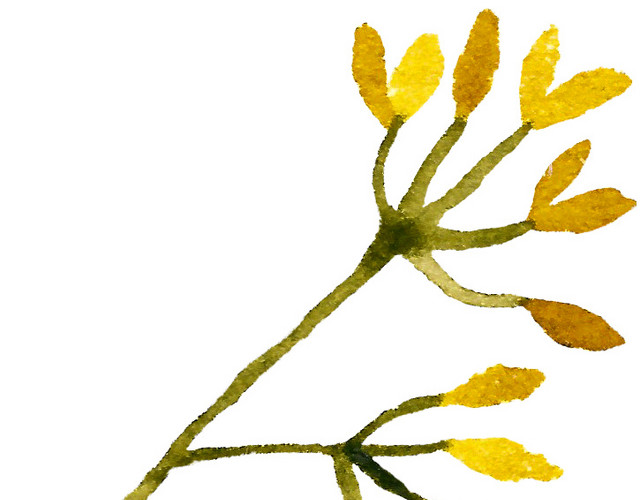 黄色手绘花素材