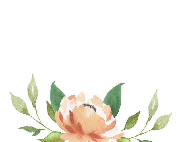 花朵插画素材