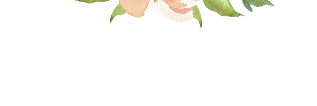 花朵插画素材