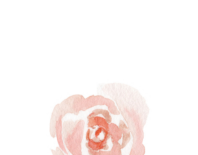 粉色手绘花朵素材
