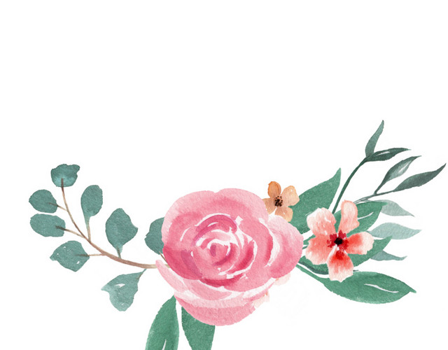 精美花朵插画素材下载