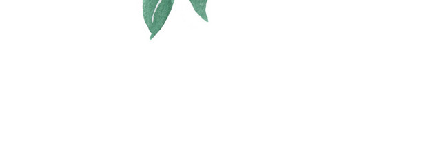 精美花朵插画素材下载