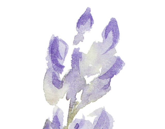 紫色花串素材