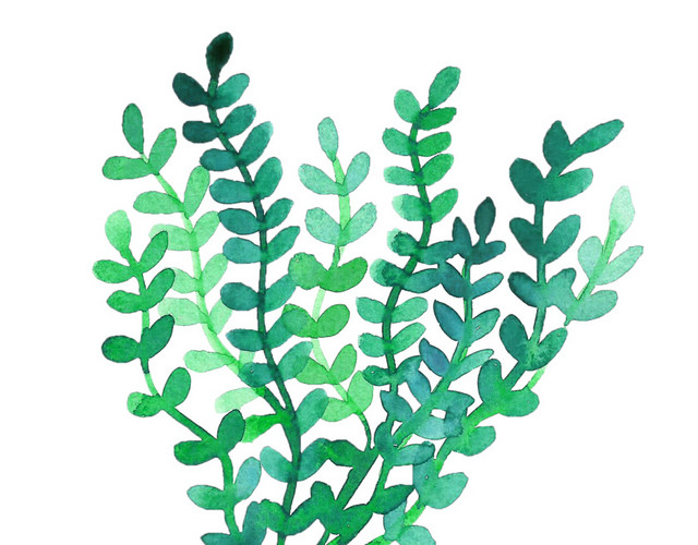 清新绿色植物矢量元素