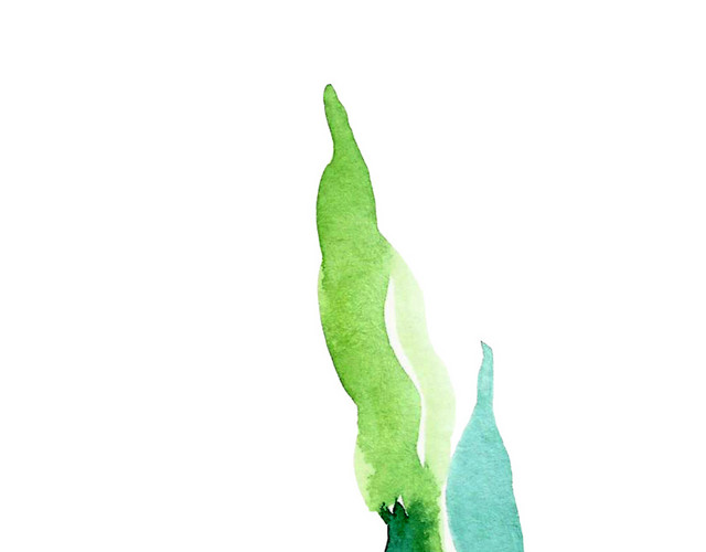 蓝绿色水彩海草矢量元素