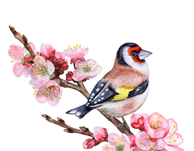 小清新花朵小鸟矢量元素