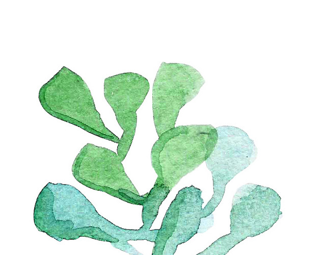 蓝绿色海底植物海藻矢量元素