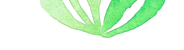 简约淡绿色海底植物海草矢量元素