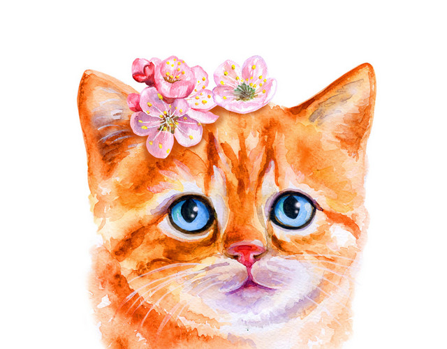 卡通可爱橘色猫咪矢量元素