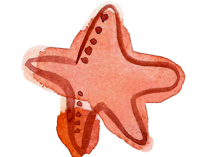 水彩红色海星矢量元素
